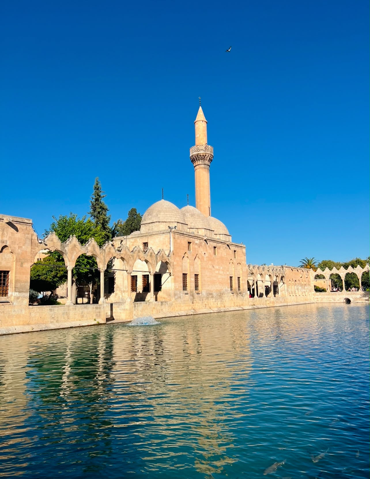 Balıklıgöl (Halil-Ür Rahman Gölü)